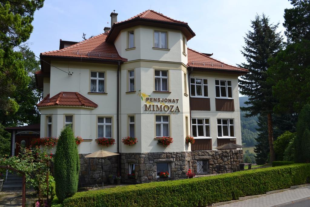 Pensjonat Mimoza Swieradow-Zdroj Bagian luar foto